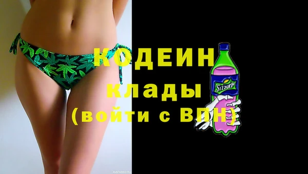 шишки Белоозёрский