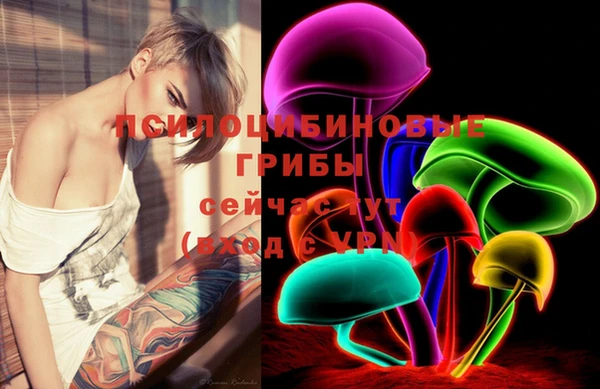 шишки Белоозёрский