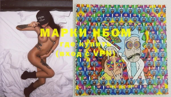 шишки Белоозёрский