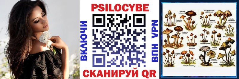 Псилоцибиновые грибы мицелий гидра как зайти Пионерский